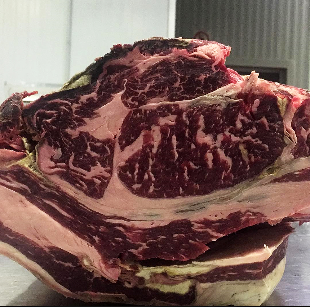 carne06