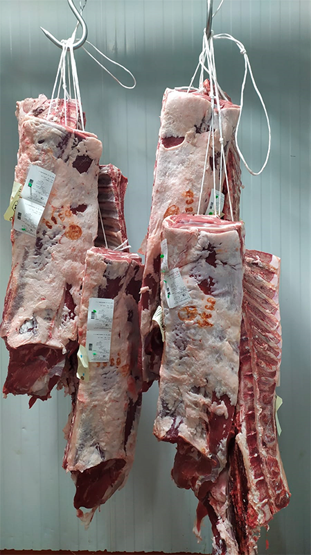 carne15