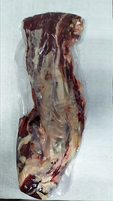 carne16